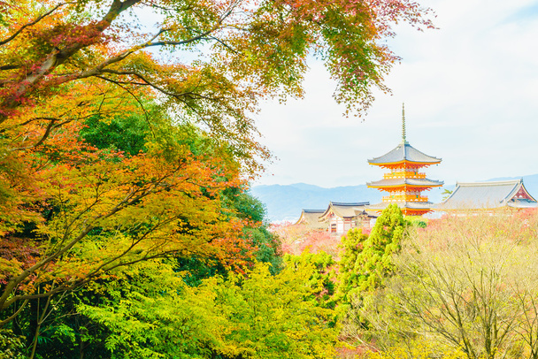 Kiyomizu tapınağında güzel mimari - Fotoğraf, Görsel