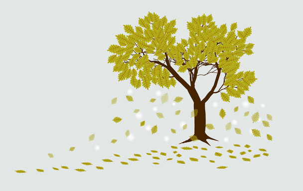 葉の落ちる秋の樫の木 - ベクター画像