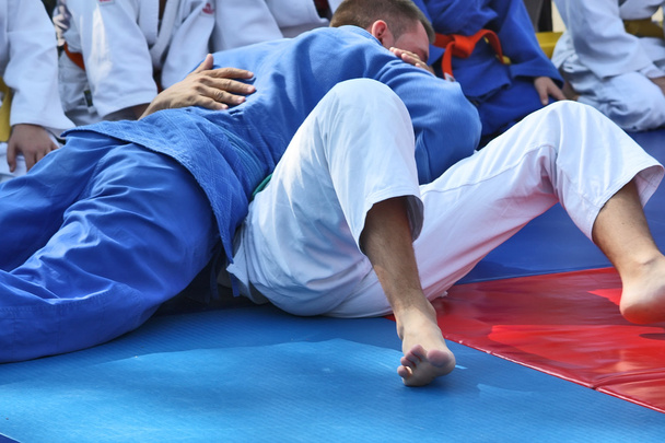 Martial arts - Judo - Photo, Image