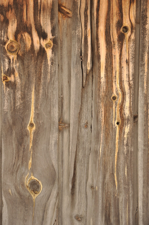 Wood. Texture. - Foto, afbeelding
