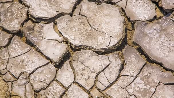 Ραγισμένο άγονο έδαφος στην ξηρασία - Πλάνα, βίντεο