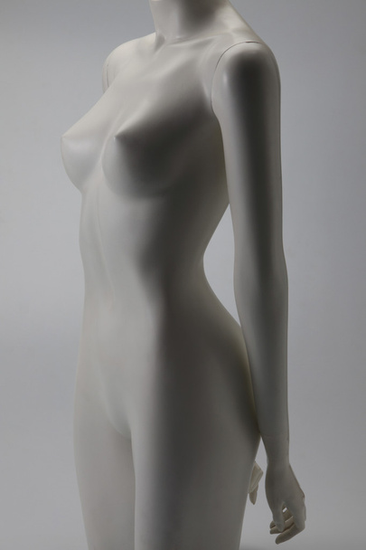 Female mannequin naked on the plain background - Foto, afbeelding
