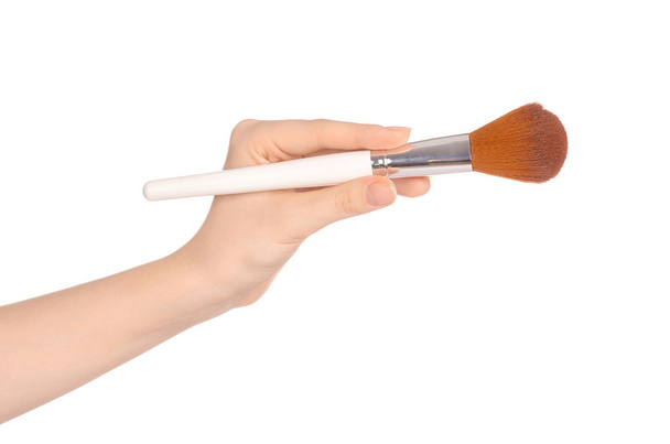 Makeup and beauty topic: a woman's hand holding a brush makeup isolated on white background in studio - 写真・画像