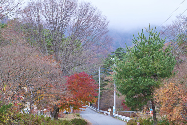 осень в Японии
 - Фото, изображение