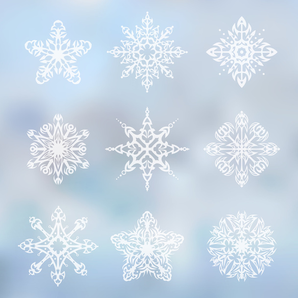 zestaw ozdobny płatki śniegu - Wektor, obraz