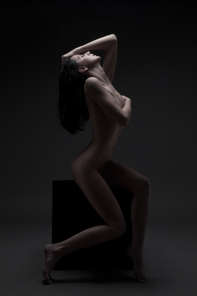 Fashion Portrait Of Naked Woman With Beautiful Slim Body - Fotografie, Obrázek