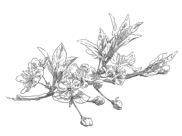 Beauty hand drawn flowers - Vektor, obrázek