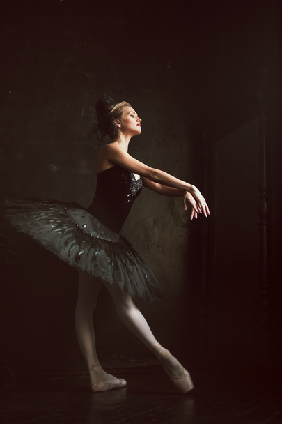 Portrait of the ballerina in ballet tatu on black background - Foto, immagini