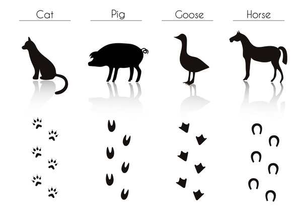 Farm Animals and Birds Silhouettes - Vector, afbeelding