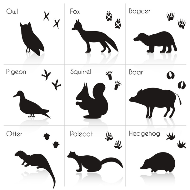 Animals Silhouettes with Name. - Vetor, Imagem