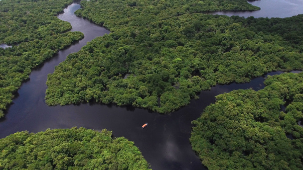 Amazonas in Brasilien - Foto, Bild