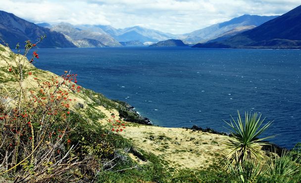 Jižní ostrov, Nový Zéland - Fotografie, Obrázek