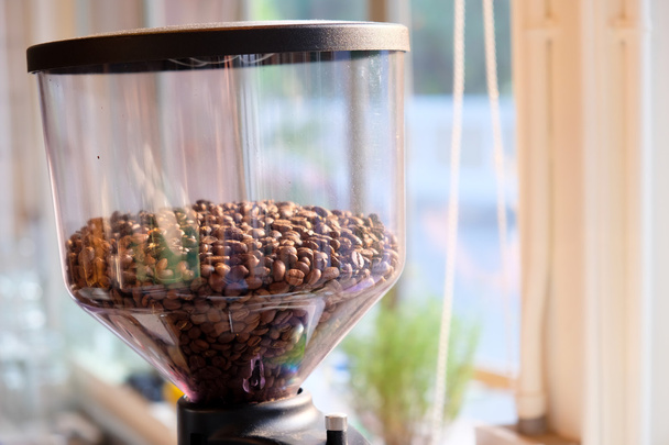 sementes de café preto
 - Foto, Imagem