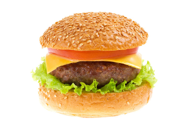 cheeseburger, samostatný - Fotografie, Obrázek