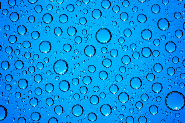  drops on glass  - Zdjęcie, obraz
