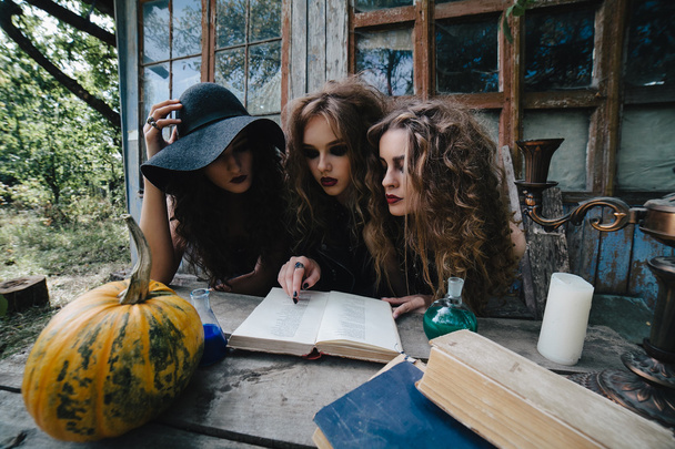 Three vintage witches perform magic ritual - Photo, Image