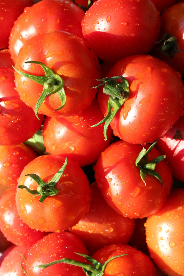 Haufen roter Tomaten - Foto, Bild