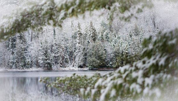 Χιόνι κάλυψε δάσος στη λίμνη, χειμώνα φτάνει. - Φωτογραφία, εικόνα