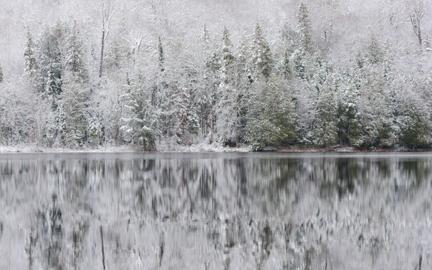 Mirage de invierno en el lago. Nieve ligera bajo el tenue cielo nublado gris de noviembre. Reflexiones del bosque frente al mar
. - Foto, imagen