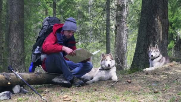 Wanderer mit Hund und Karte im Wald - Filmmaterial, Video