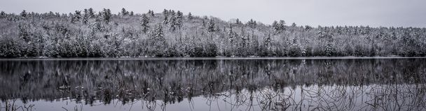 Winter Mirage op het meer. Lichte sneeuw onder ingetogen grijs November bewolkt. Reflecties van waterkant bos. - Foto, afbeelding