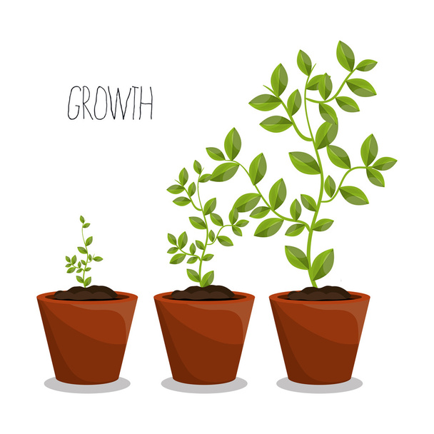 Nature plants growth - Vector, Image