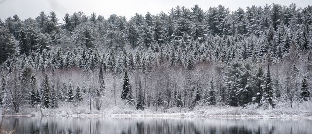 Mirage χειμώνα στη λίμνη. Ελαφρύ χιόνι κάτω υποτονική το γκρίζο συννεφιασμένο ουρανό Νοεμβρίου. Αντανακλάσεις του δάσους στην προκυμαία. - Φωτογραφία, εικόνα