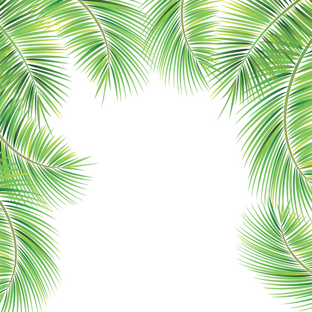 Palm tree branches. - Διάνυσμα, εικόνα