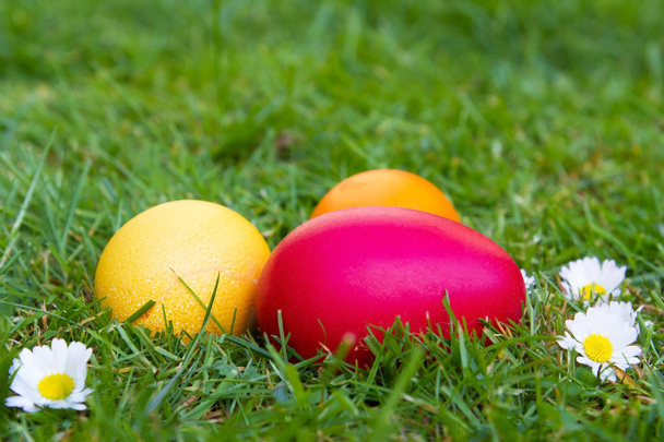 Huevos de Pascua de colores en un césped
 - Foto, imagen