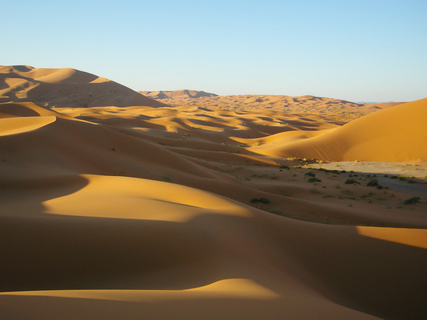 homokdűnék a sivatagban - Fotó, kép