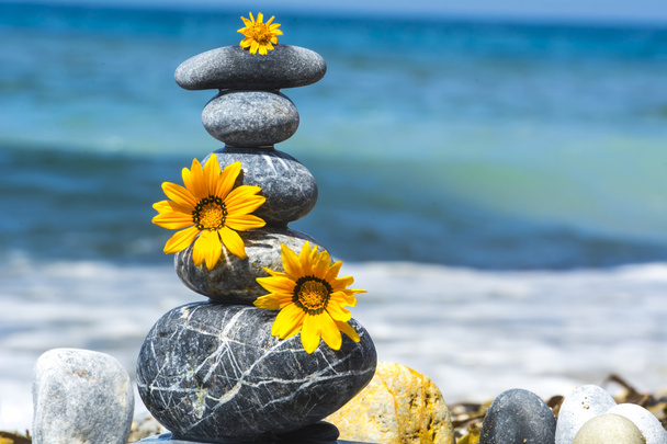 zen stones and yellow flowers - Photo, Image