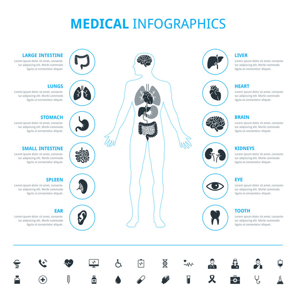 Medizinische menschliche Organe und medizinische Ikone mit menschlichem Körper - Vektor, Bild