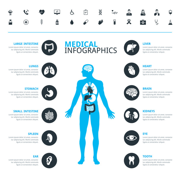 Medizinische menschliche Organe und medizinische Ikone mit menschlichem Körper in blau - Vektor, Bild