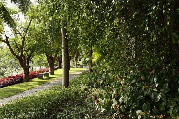 Jardin formel paysager vert. Parc
 - Photo, image