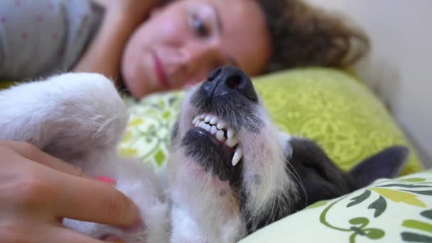 Girl and Dog Comfortably Sleeping in Bed - Кадри, відео