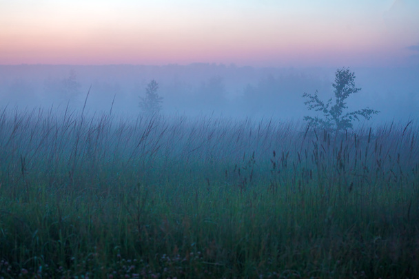 Misty prachtige natuur achtergrond - Foto, afbeelding