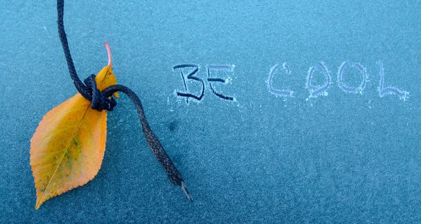 be cool text  on a frost car window - Photo, Image