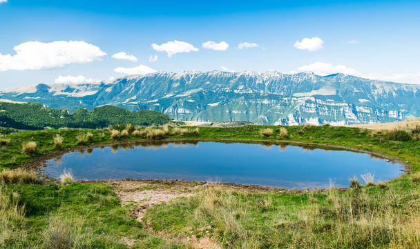 İnekler sulama için kullanılan Alp küçük gölet. - Fotoğraf, Görsel