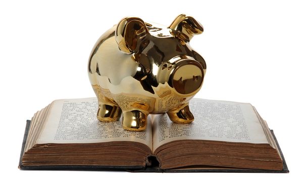 Golden piggy bank on old book - Photo, Image
