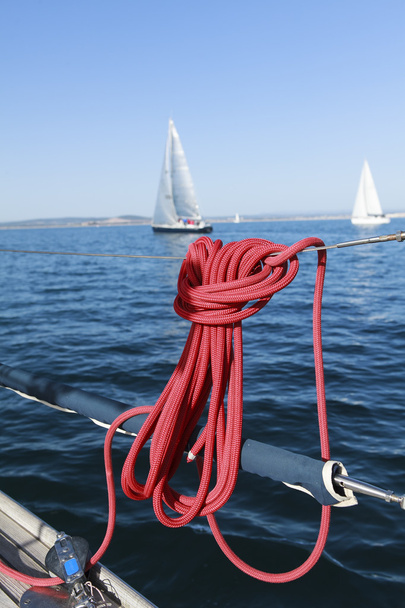 regata de veleros
 - Foto, Imagen