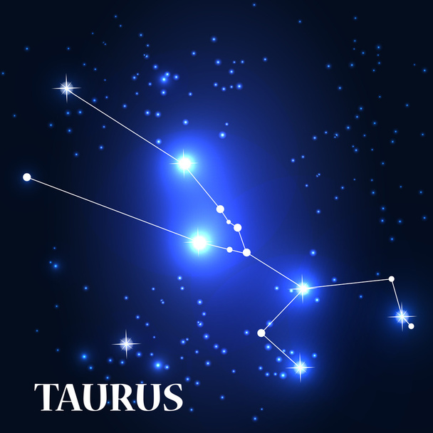 Taurus Zodiac Sign. - Vector, Imagen