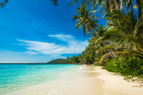 красивый тропический пляж - Фото, изображение