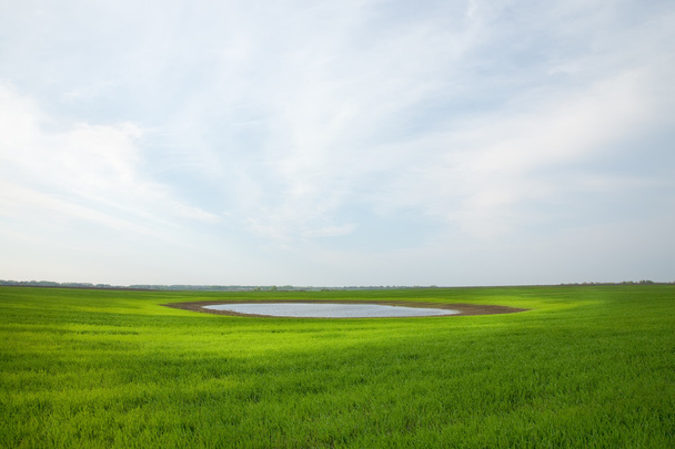 Green field - Photo, Image