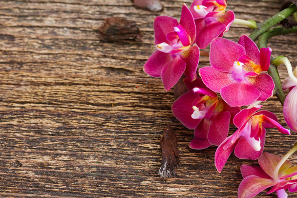 Букет з фіолетових орхідей
 - Фото, зображення