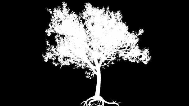 Cerisier tibétain se balançant au vent Les feuilles d'arbre vert flottent Couronne en été Animation générée par ordinateur Fabriqué en studio
 - Séquence, vidéo