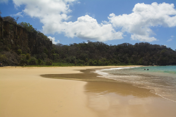 Пляж на острове Бразилия
 - Фото, изображение