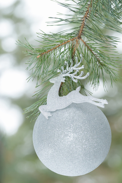 Γυαλισμένο ασημί χρώμα Χριστουγεννιάτικο στολίδι ως τάρανδος του Αϊ-Βασίλη στο κλαδί πεύκου - Φωτογραφία, εικόνα