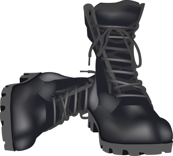 military shoes amphibians - Vector, Image