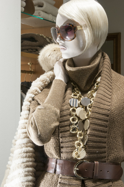 fashion mannequin display - Photo, Image