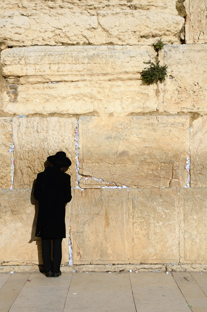 Chasydzkie Żyd modląc się - Zdjęcie, obraz
